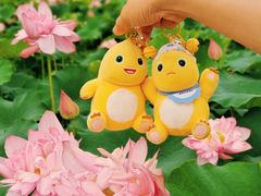 -广州莲花山旅游区