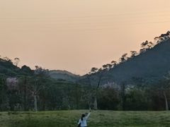 -风云岭森林公园