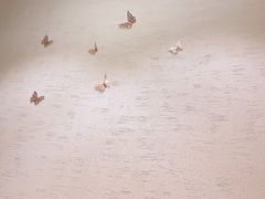 -林妈妈村·日式料理(宝山龙湖天街店)