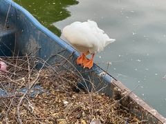 -团结湖公园