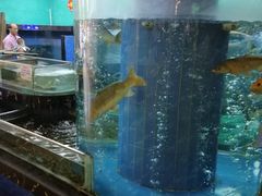 -聚彩居三和酒楼•老字号粤菜(南城店)