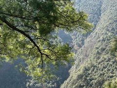 -苍山感通索道