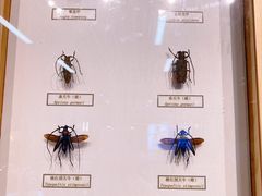 -浙江自然博物院(杭州馆)