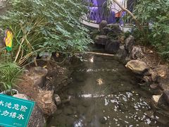 -九尊食上(生态园林酒店)