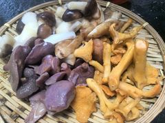 -菌极鲜野生菌火锅店(阳明祠店)
