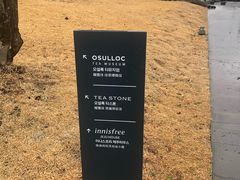 -雪绿茶博物馆