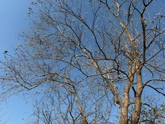 -昆山城市生态森林公园