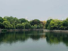 -月湖公园