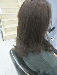点击看大图 -DL HAIR SALON