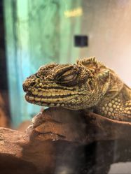 -Zoolung Zoolung动物主题公园(海信广场店)