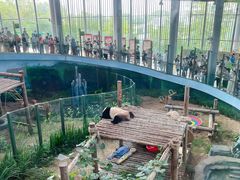 -大连森林动物园