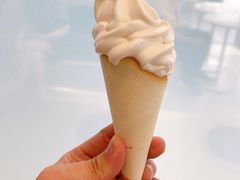 特浓牛乳王脆筒-喜茶(东莞汇一城店)