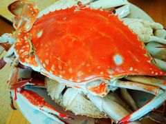 -青岛沙子口国家中心渔港