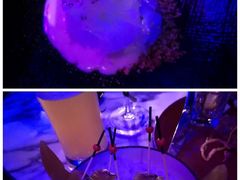 -OZONE 顶楼酒吧(香港丽思卡尔顿酒店)