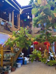 -小红帽摄影(丽江店)