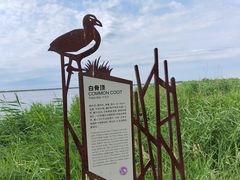 -黑龙江扎龙生态旅游区