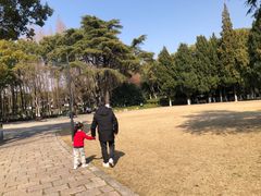 -瀛洲公园