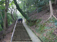 上山的小路-岚山猴子公园