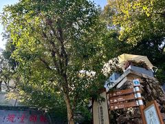 -龙井壹号·茶缘山景宴(龙井村店)