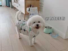 -哆趣宠物医院·眼科·内镜·急重症转诊中心(上海店)