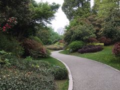 -桃花岛景观公园