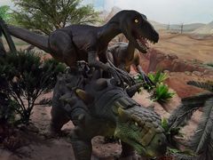 -国家自然博物馆