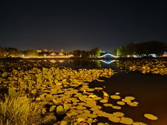 -长春市南湖公园