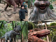 -呀路古热带植物园