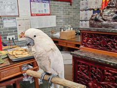 -四海楼(如皋定慧禅寺店)