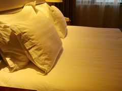 -甸园锦江宾馆(北外滩店)