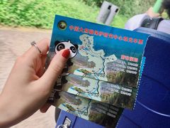 -都江堰中华大熊猫苑