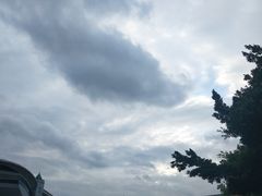 -四川大学(望江校区)