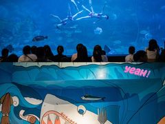 -烟台海昌鲸鲨海洋公园