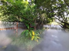 -厦门园林博览苑