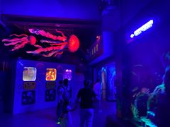 -芜湖新华联大白鲸海洋公园