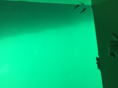 -亚龙湾海底世界