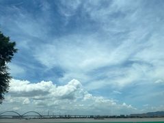 -八仔大富楼·河鲜(西江店)