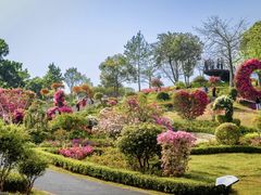 -东莞植物园