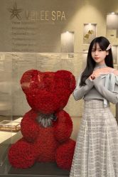 -VELEE·SPA高定疗愈会所