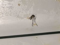 -古早外婆(天佑城店)