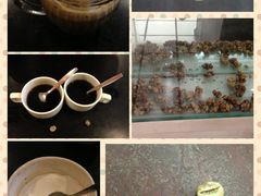 -巴厘岛黄金金兔咖啡工厂