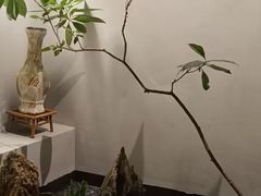 -本处·素食·融合料理(南油店)