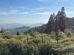 -莫干山风景区