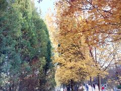 -奥林匹克森林公园南门-停车场