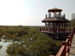 -北海金海湾红树林生态旅游区