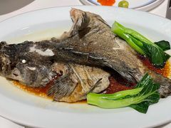 -顺峰(农展馆店)