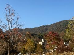 -塔川景区