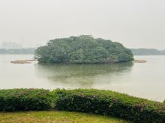 -海珠湖公园