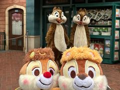 -上海迪士尼度假区