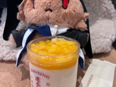 -连杏双皮奶(长沙国金店)